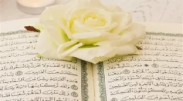 أسرار حث القرآن الكريم على المداومة على ذكر الله بكرة وأصيلًا وفضلها المستمر